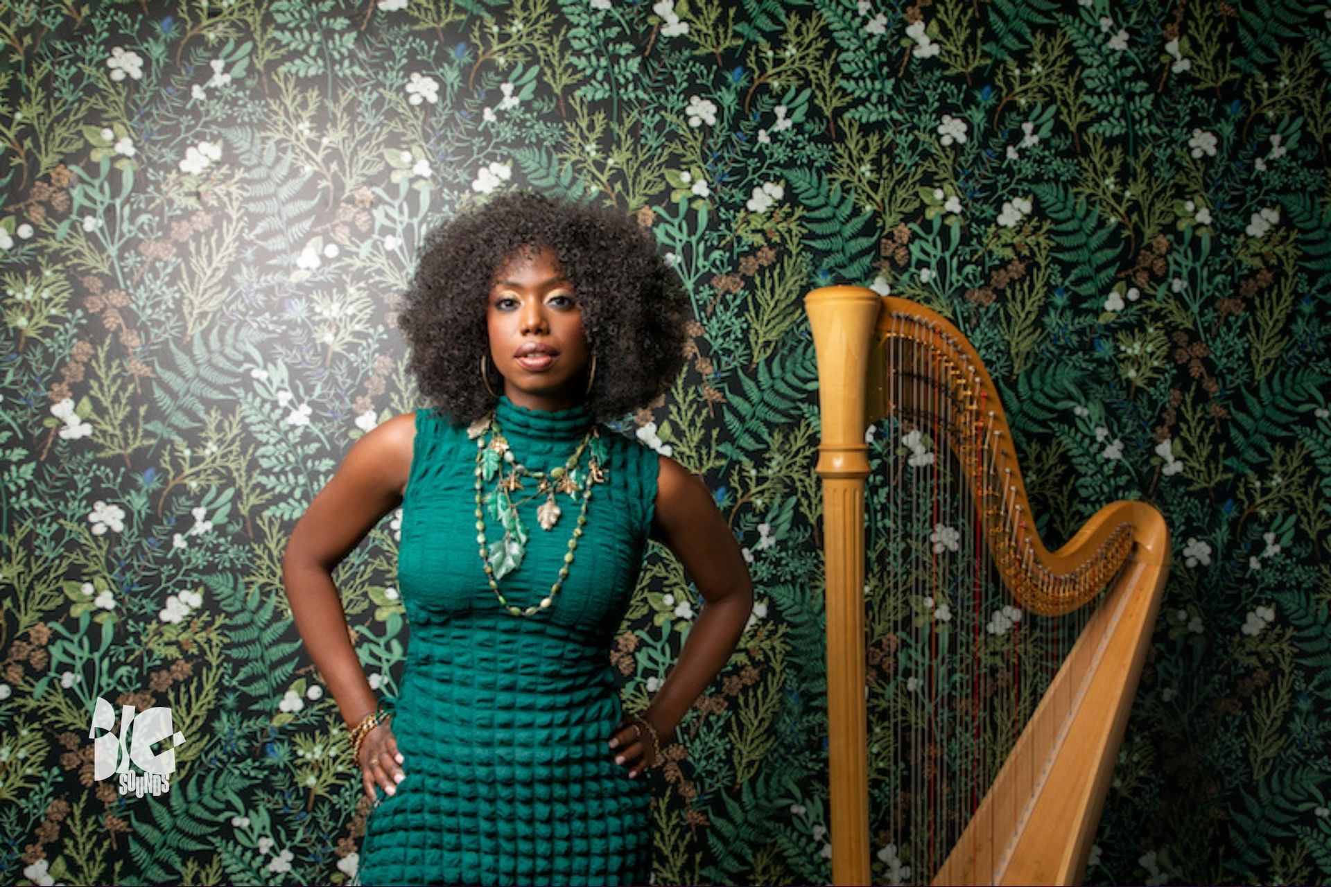 Jazz Orchestra of the Concertgebouw & Brandee Younger in Tolhuistuin