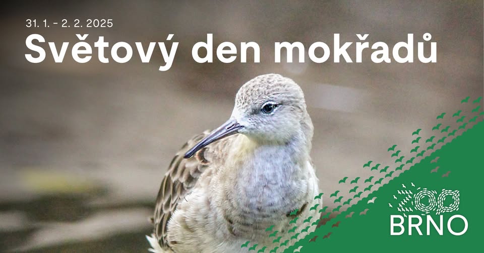 Světový den mokřadů