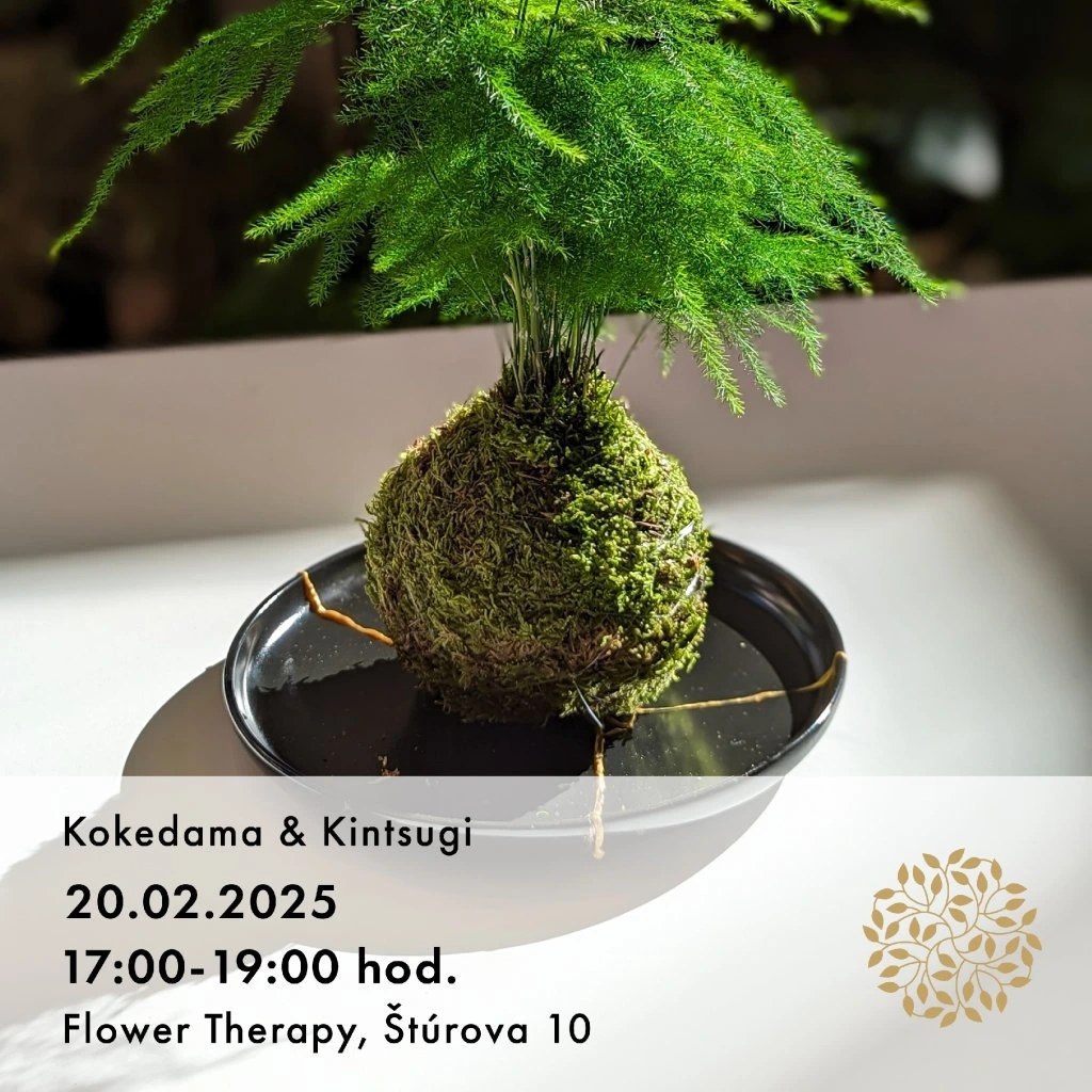 Kokedama a Kintsugi - 20.2.2025