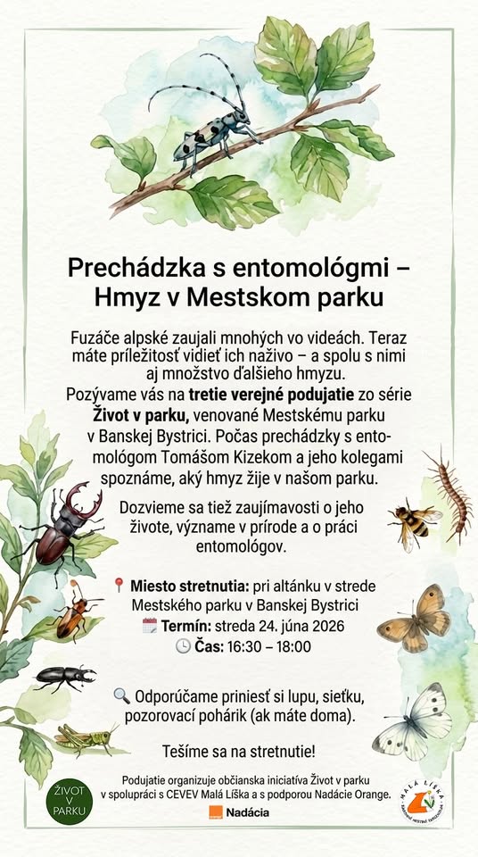 Prechádzka s entomológmi - Hmyz v Mestskom parku v Banskej Bystrici
