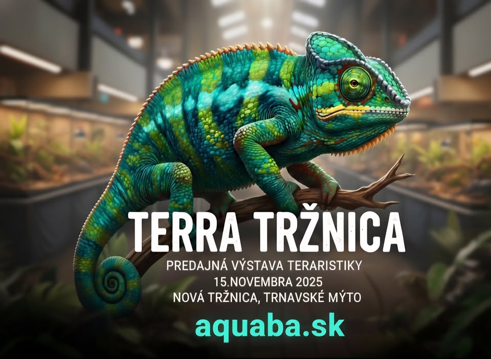 Terra Tržnica