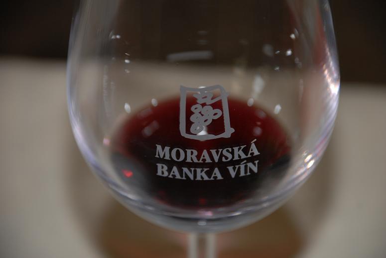 Brno – řízená degustace vín – Víno Marcinčák, Mikulov
