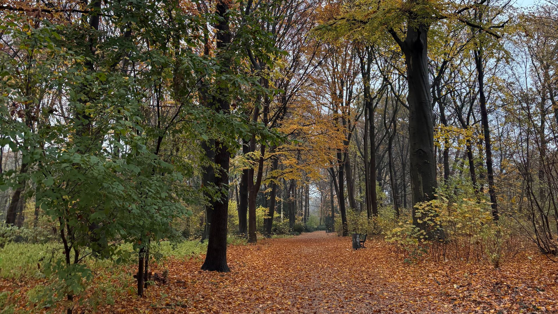 5K Sunday Run @ Treptower