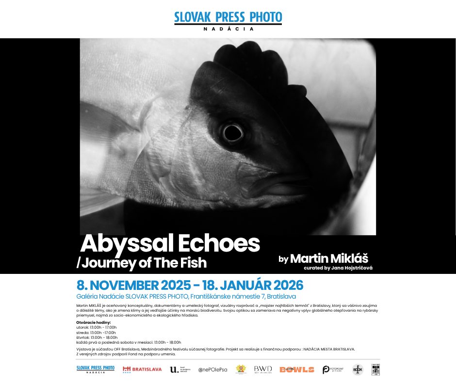 Výstava Martina Mikláša - Abyssal Echoes / Journey of the Fish