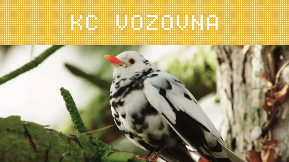 Planeta Žižkov – Městská divočina v okolí Krejcárku