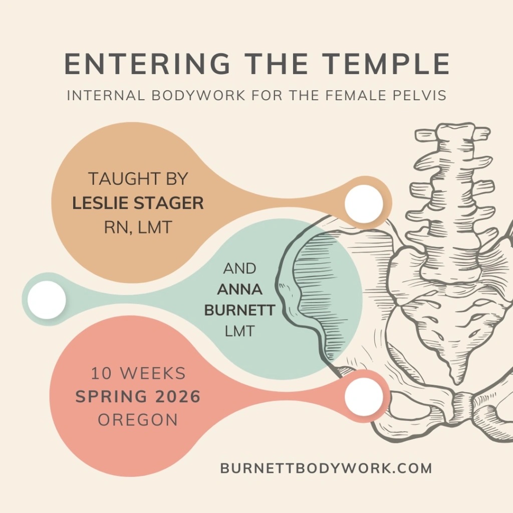 Pelvic Bodywork Certification