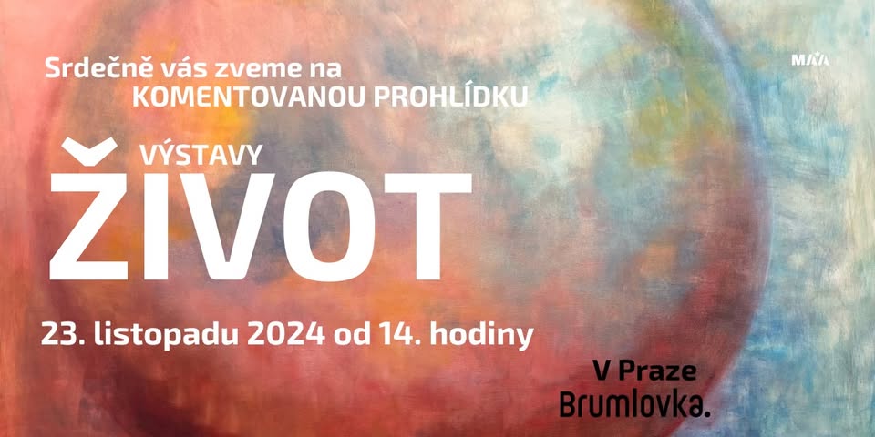 Komentovaná prohlídka obrazů JANE H.