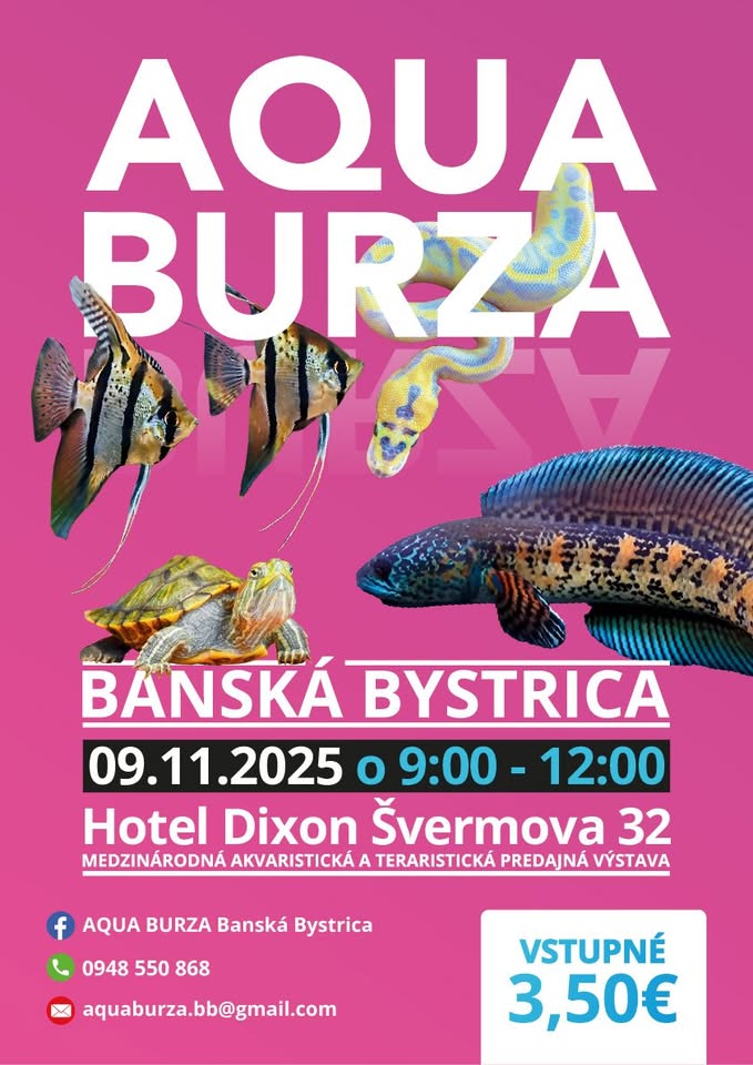 AQUA BURZA BANSKÁ BYSTRICA