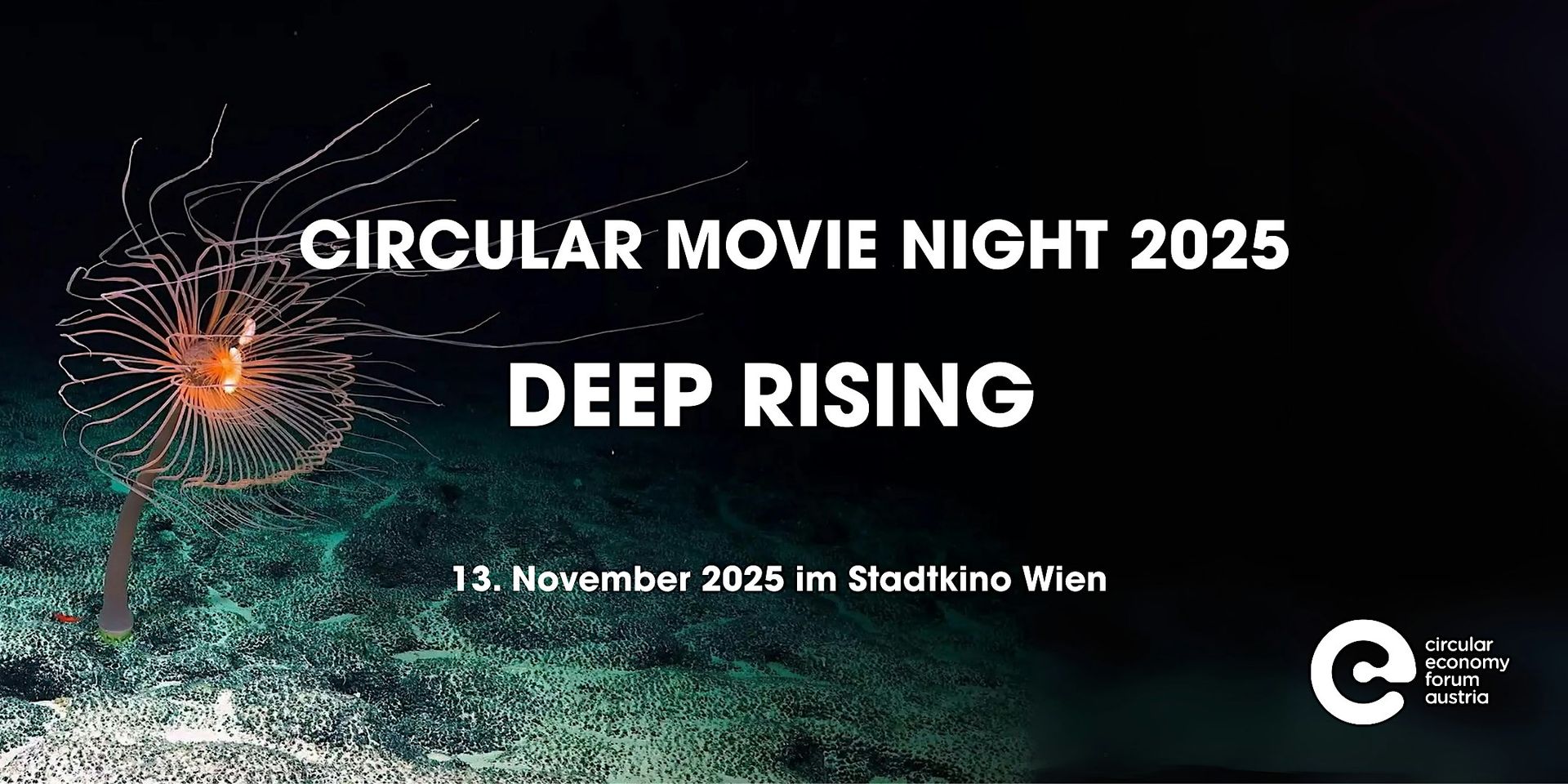 CIRCULAR MOVIE NIGHT 2025