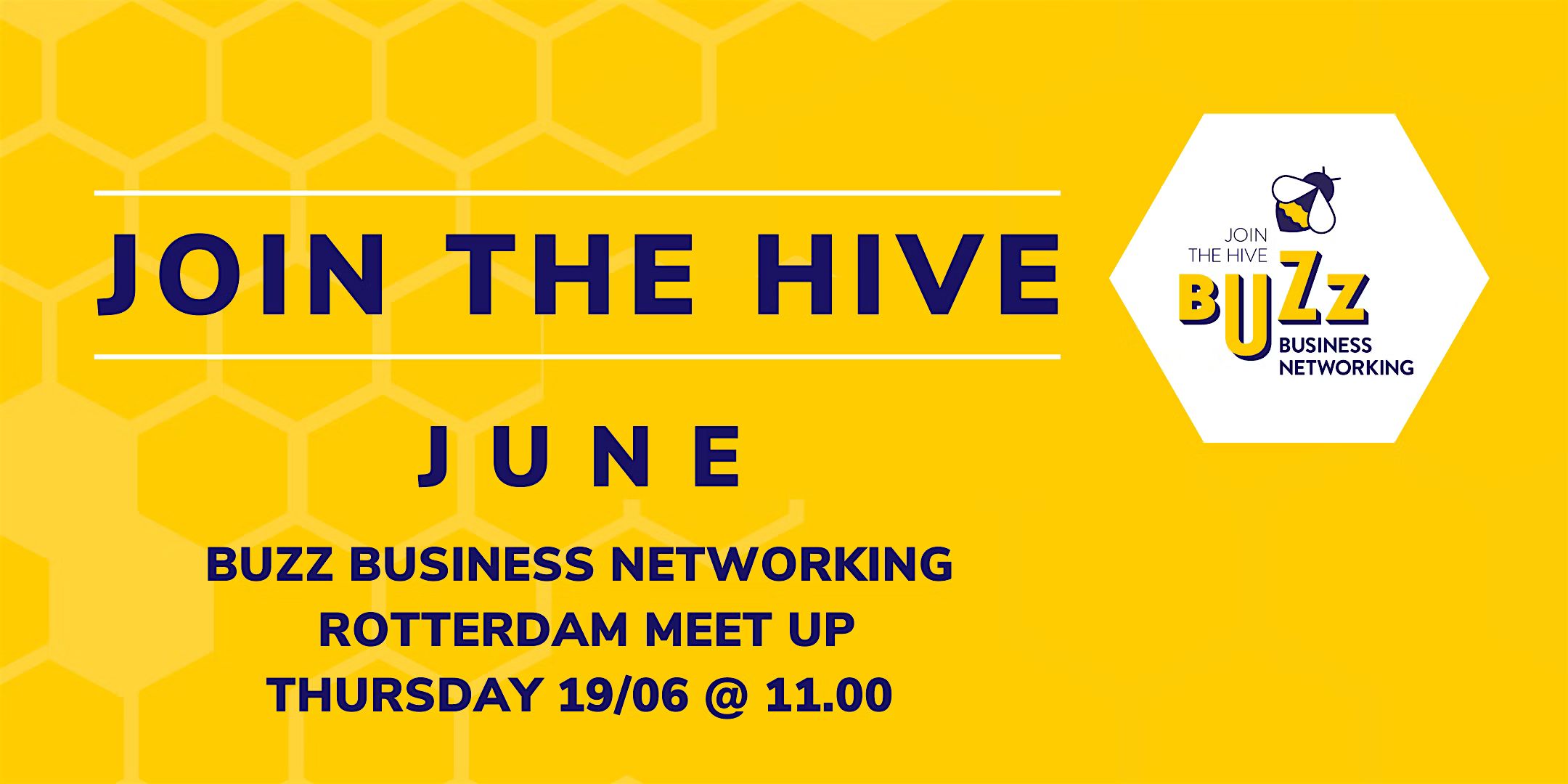Jun 2025 Buzz Business Networking Meet Up – Rotterdam