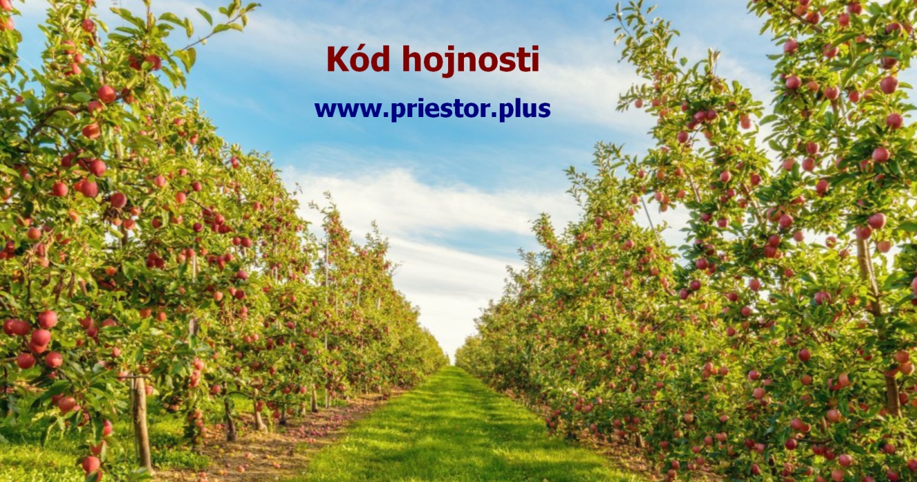 KÓD HOJNOSTI