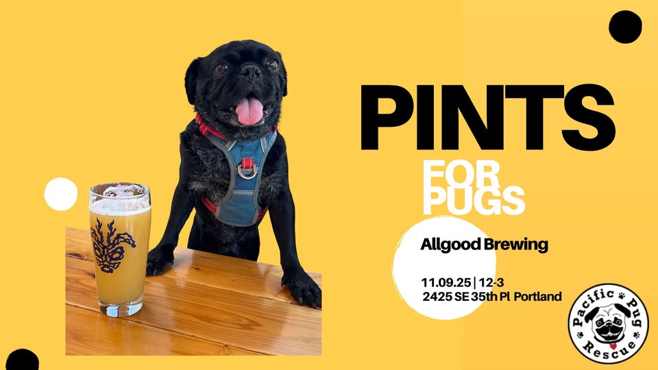 Pints for Pugs