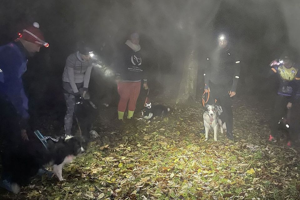 Canicrossový výběh pro začátečníky 31/24 Velká Klajdovka