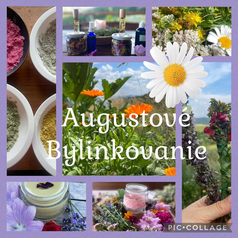 Augustové Bylinkovanie