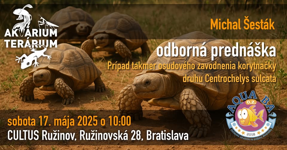 Prípad pritopenia korytnačky Centrochelys sulcata
