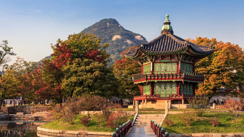 Rostlinná společenstva Koreje – Fotografická výstava z botanických expedic