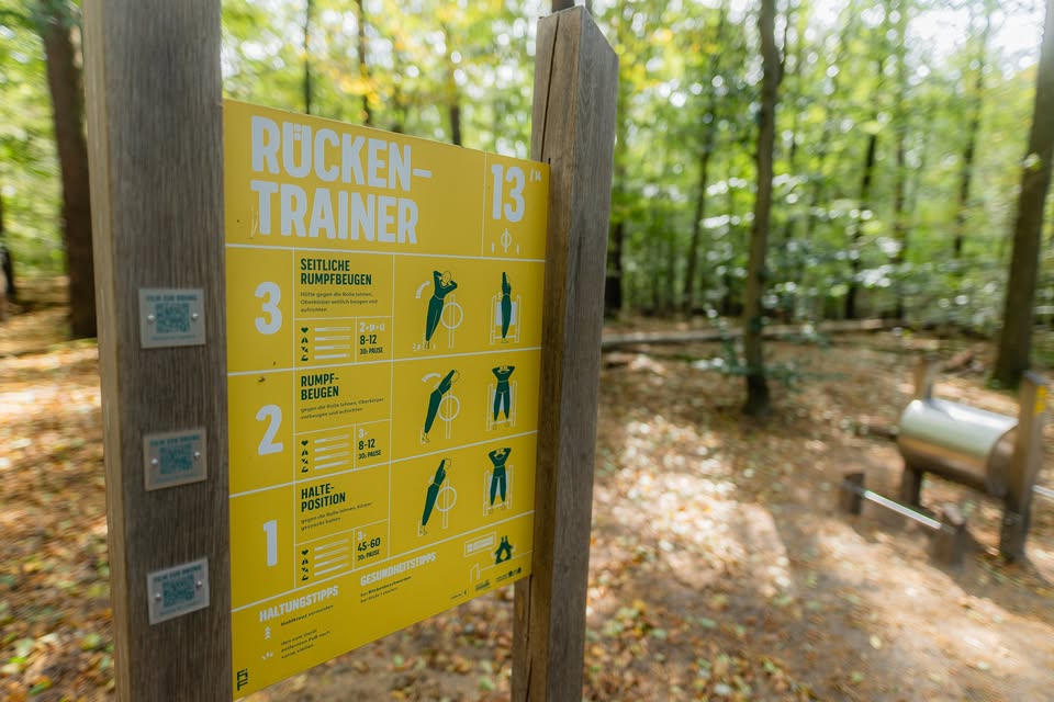 Begleitetes Training: Fit im Forst