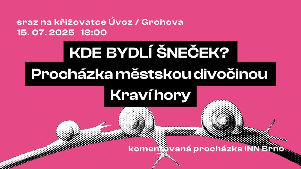 INN Brno: Kde bydlí šneček? Procházka městskou divočinou Kraví hory 🐌