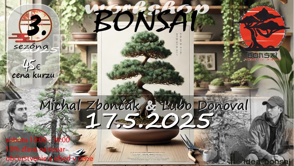BONSAI Workshop 3.