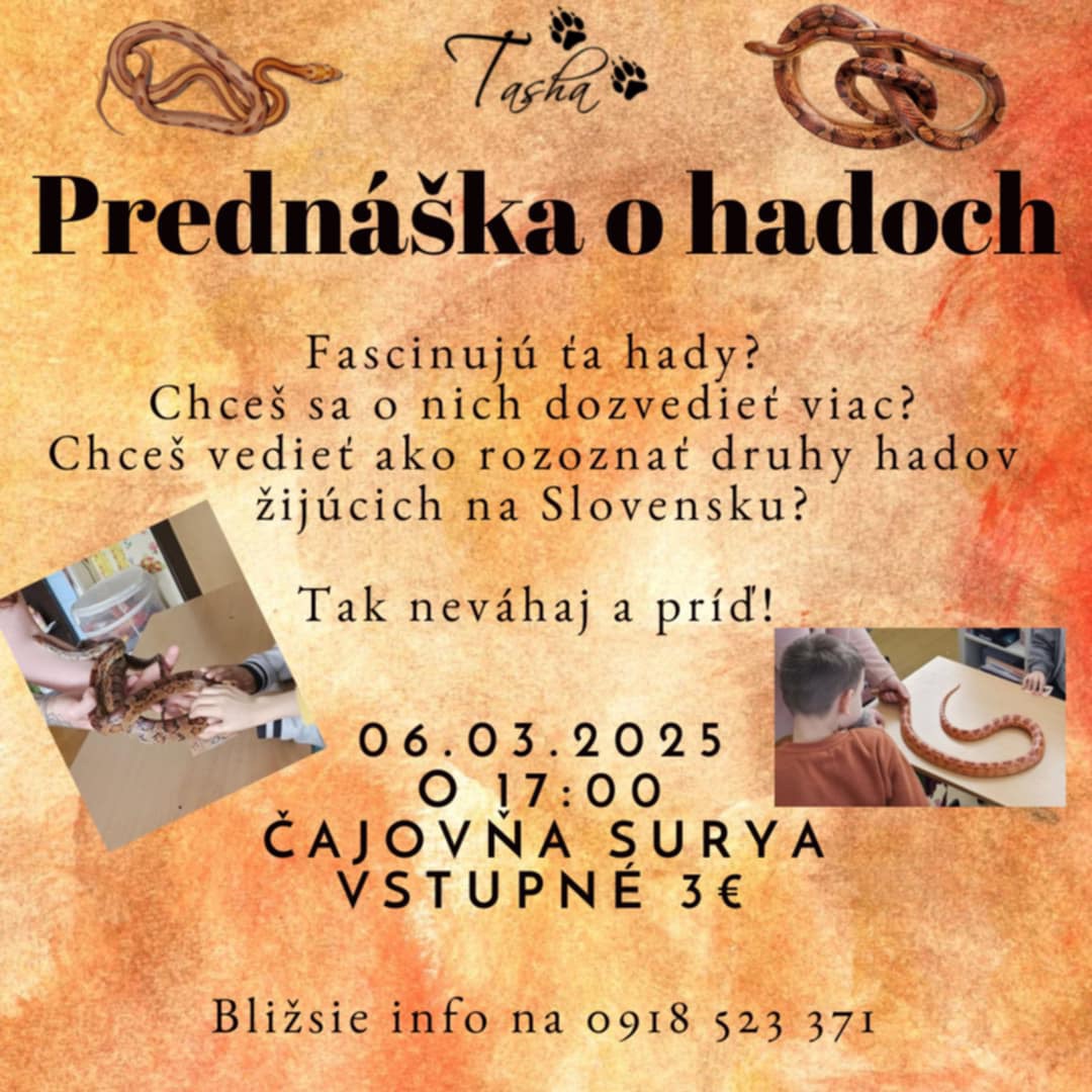 Prednáška o hadoch