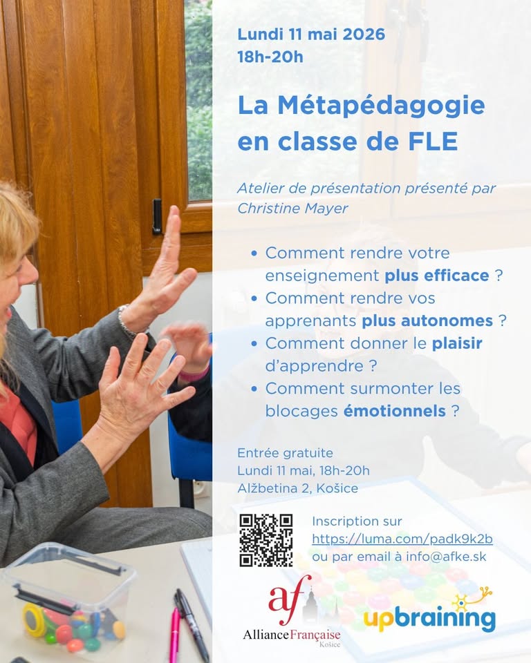 Formation sur la métapédagogie avec Christine Mayer