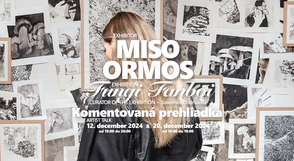Artist talk ~ Miso Ormos ★ Fungi Fanboi