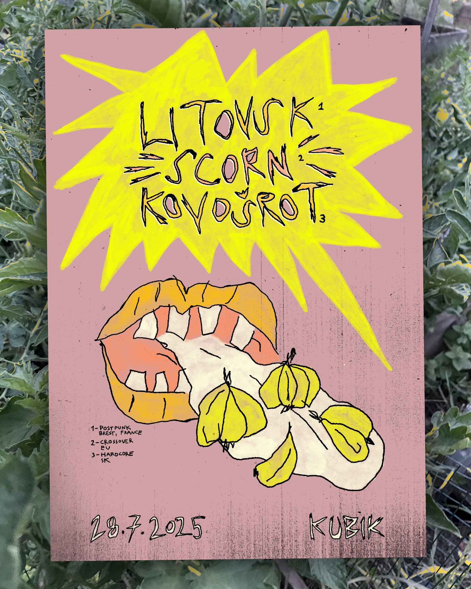 Pivničná pleseň  - Litovsk /FR, Scorn /EU, Kovošrot