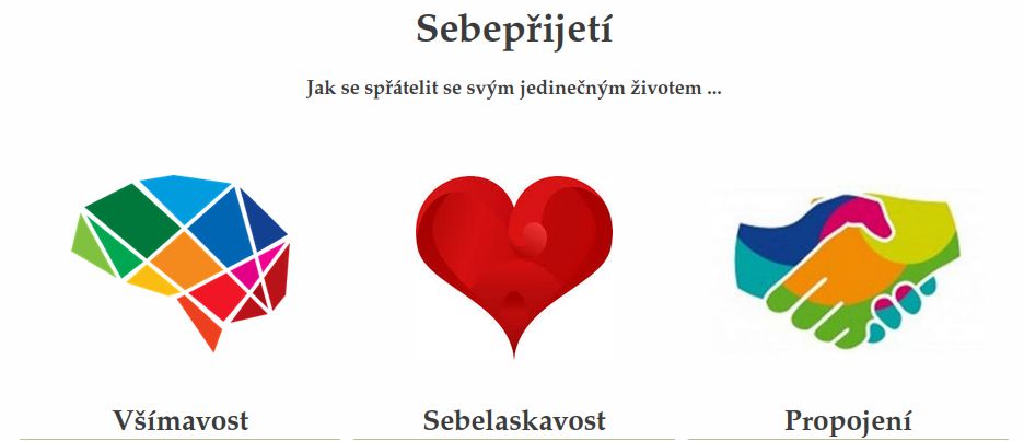 Sebepřijetí