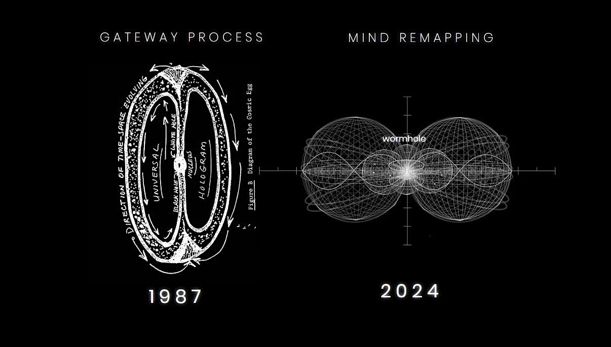 Mind ReMapping - Quantum Identities  & the Gateway Process - ONLINE- Vienna