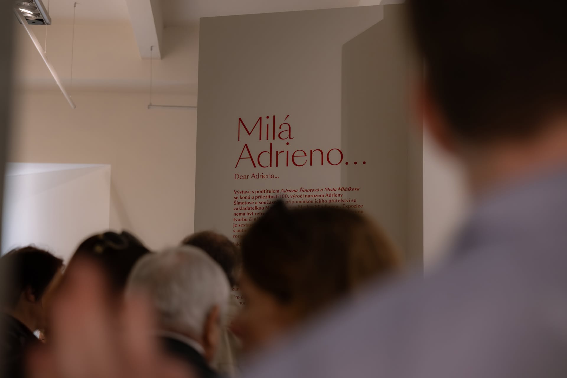 Komentovaná prohlídka výstavy Milá Adrieno s Markétou Čejkovou