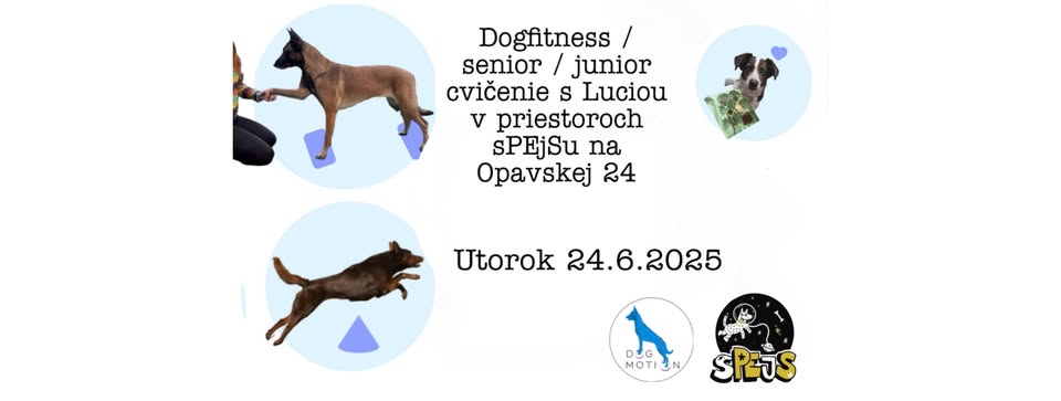 Dogfitness / senior / junior cvičenie v priestoroch sPEjSu na Opavskej 24