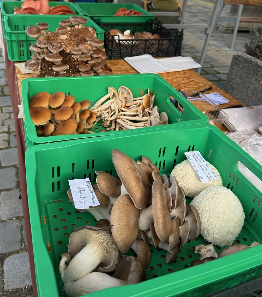 Březnové Medlánecké farmářské trhy
