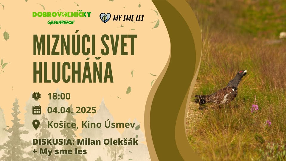 🎥 Premietanie + diskusia: Miznúci svet hlucháňa