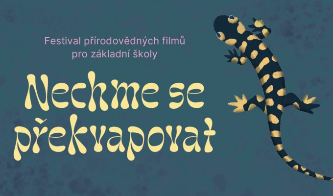 Program pro školy // Nechme se překvapovat
