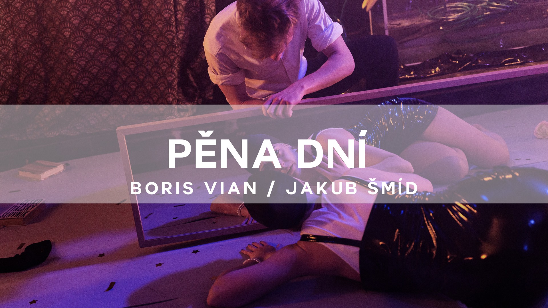 PĚNA DNÍ / Vian, Šmíd