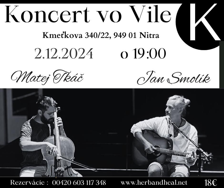 Koncert vo Vile K
