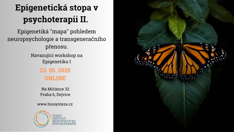EPIGENETICKÁ STOPA V PSYCHOTERAPII II.