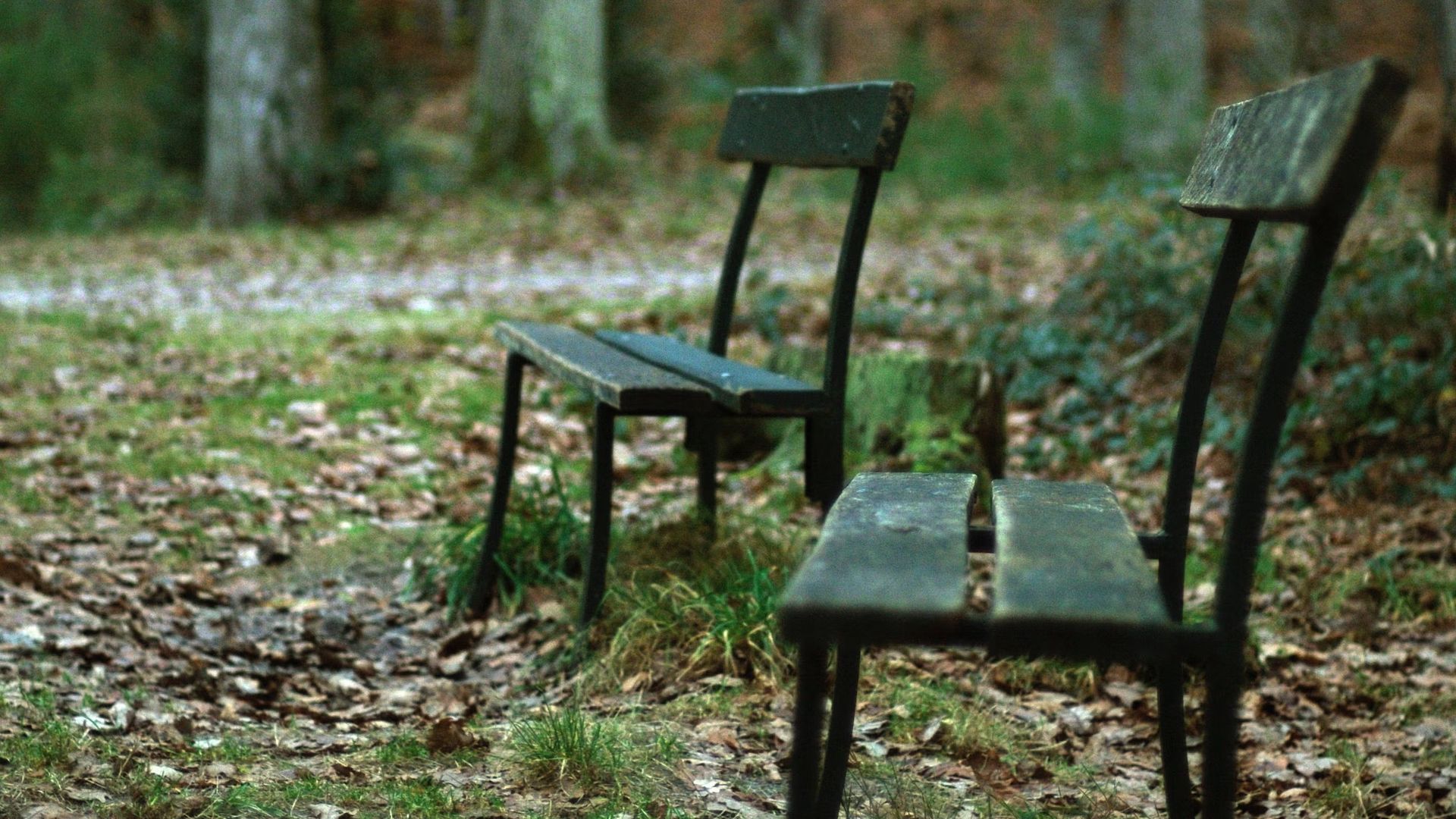 Mindfulness Meditation Bootcamp – Late Summer Edition