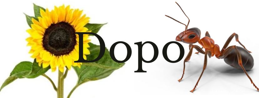 Dopolední setkání v Písečníku- slunečnice a mravenec