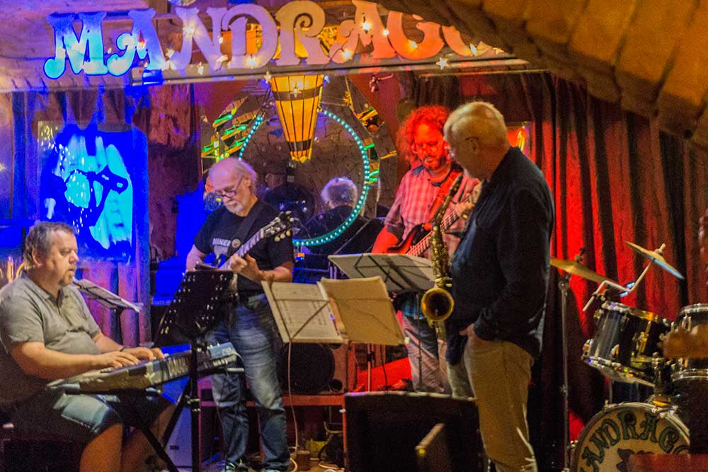 Koncert v Mandragoře
