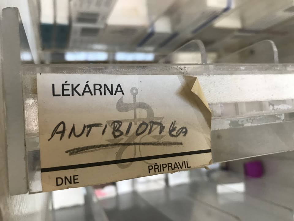 Jaroslava Hasmanová Marhánková | Lokální životy antibiotik