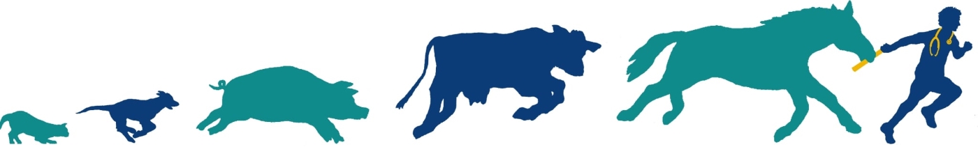 Veterinární štafeta 2025