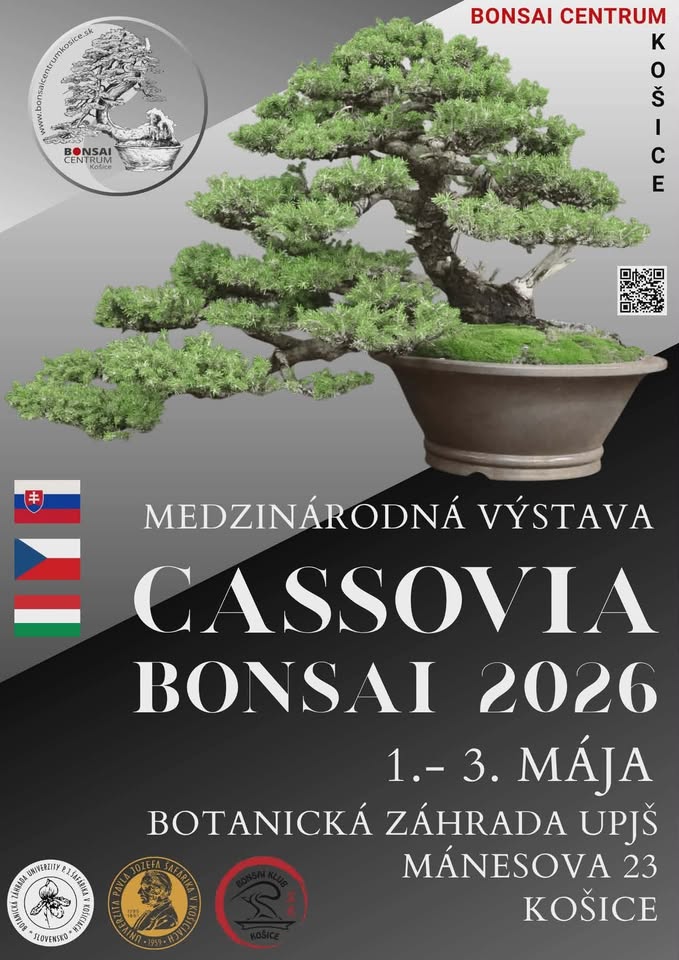 Cassovia Bonsai 2026 Medzinárodná výstava bonsajov
