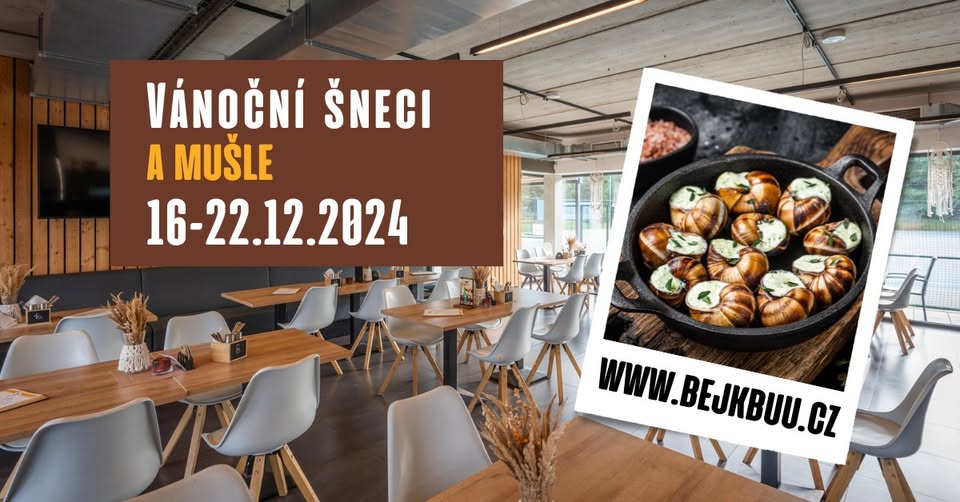 Vánoční šneci a mušle