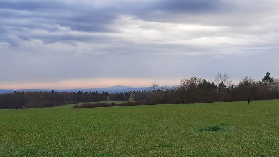 Trénink mantrailingu pro začátečníky neděle 8.12. Líšeň 9:00-10:00