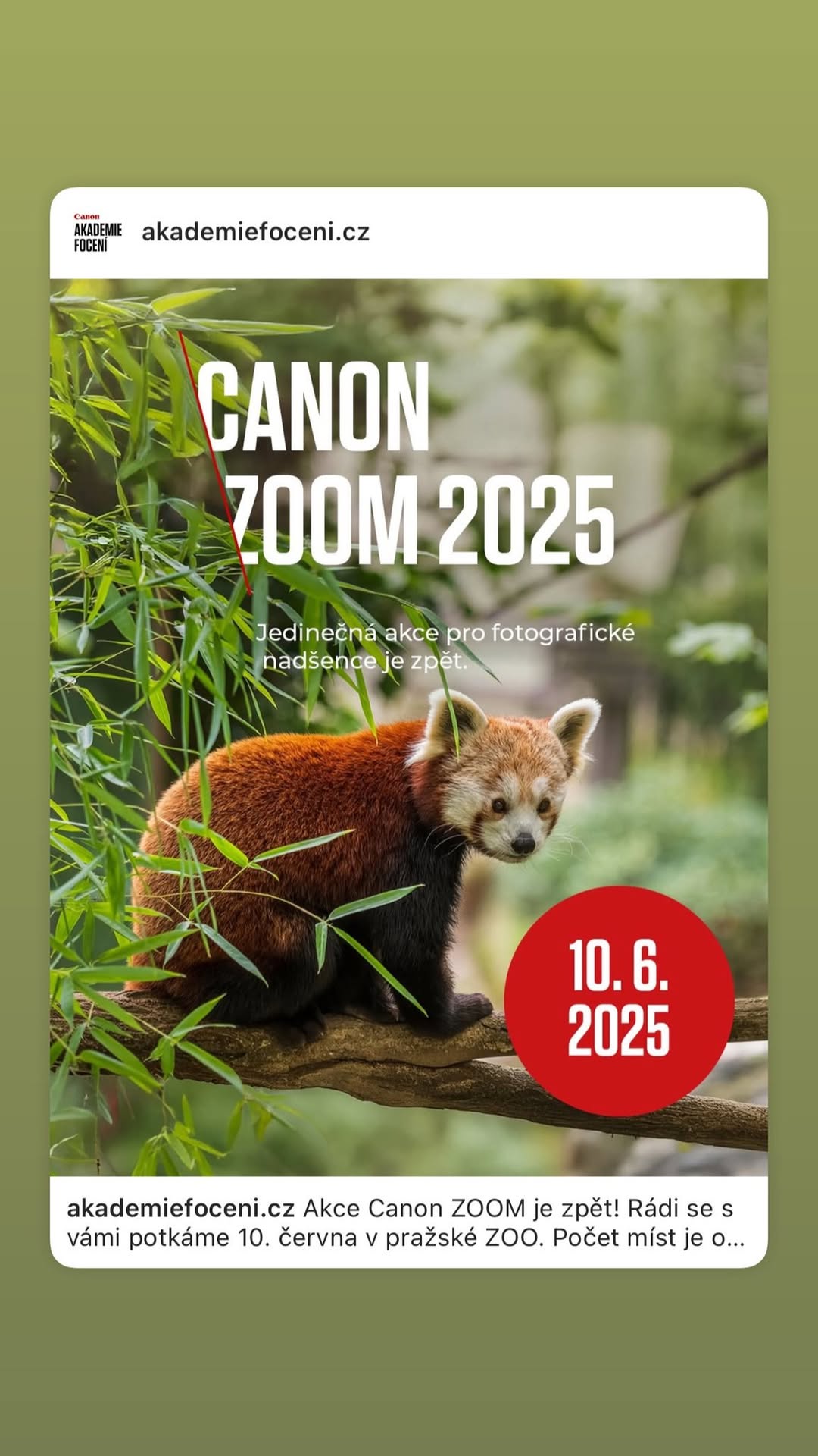 Canon ZOOm