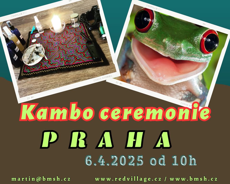 Kambo ceremonie Praha 6.4.2025
