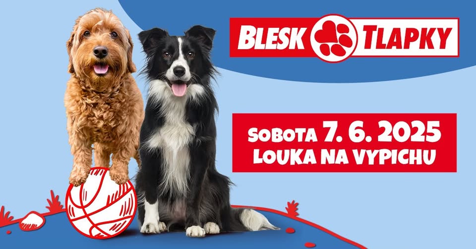 Blesk Tlapky: festival nejen pro vaše psí kamarády