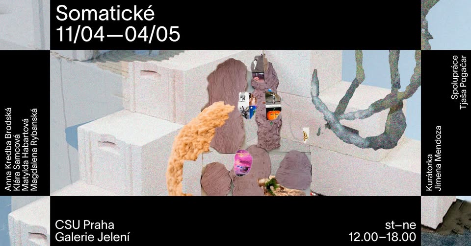 Somatické