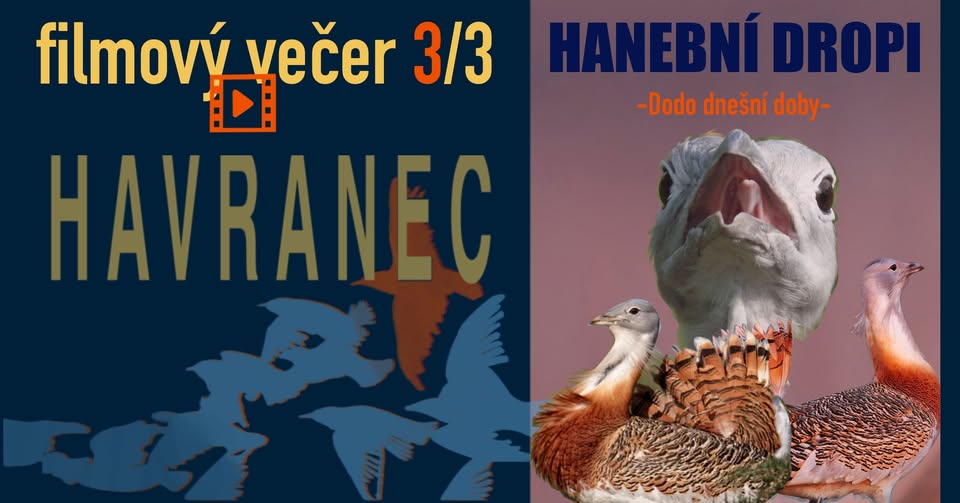 Ozvěny ekofilmu - HANEBNÍ DROPI